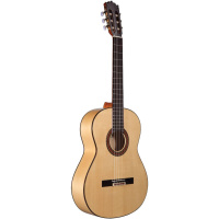 Классическая гитара ALTAMIRA N300F+ W-CASE