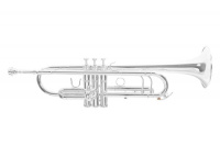 Труба ROY BENSON TR-403S Bb Труба ROY BENSON TR-403S Bb