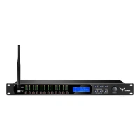 Цифровой аудио процессор Moose DSP48W