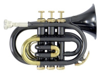 Труба ROY BENSON PT-101K Труба ROY BENSON PT-101K