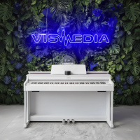 Цифровое пианино Casio Celviano AP-470WE