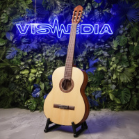 Классическая гитара Parkwood PC90-WBAG-OP