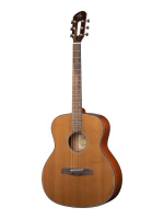 Акустическая гитара Prodipe JMFSGA200 SGA200 Акустическая гитара Prodipe JMFSGA200 SGA200