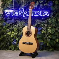 Акустическая гитара Парма FT-01