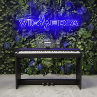 Цифровое фортепиано Antares D-360