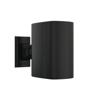 Настенная акустика BIAMP DX-S5-B