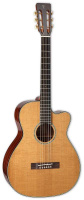 Электроакустическая гитара Takamine TT SERIES EF740FS-TT Электроакустическая гитара Takamine TT SERIES EF740FS-TT