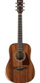 Акустическая гитара Ibanez AW54JR-OPN