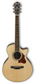 Акустическая гитара Ibanez AE205JR-OPN