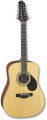 Акустическая гитара GREG BENNETT D2/12