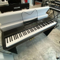 Цифровое фортепиано Ringway RP-35 Black